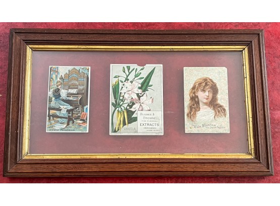 GROUPING OF (19th c) TRADE CARDS in (3) FRAMES