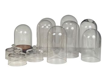 GROUPING of GLASS SPECIMEN DOMES