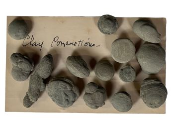 GROUPING of CLAY CONCRETIONS