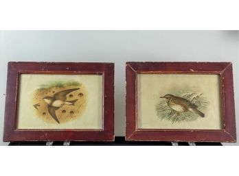 RED WING & SAND MARTIN FRAMED BIRD PRINTS