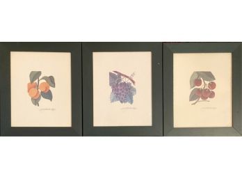 (3) PEG WHEELER HOPE SIGNED LITHOGRAPHS