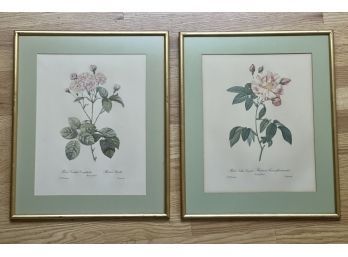 (2) FRENCH BOTANICAL PRINTS in GILT FRAMES