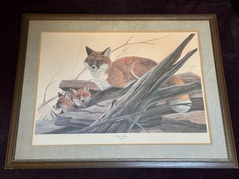 John A. Ruthven Framed Print Titled 'red Fox' Signed / Numbered