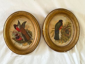 Pair Of Bird Lithographs By Henry B Sandler In Antique Frames