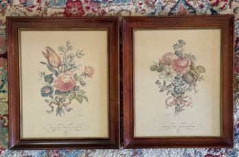 Pair Of Framed Floral Engravings