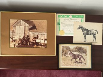 Collection Of Horse Ephemera And Ranch Photography