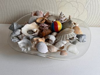 Beautiful Glass Bowl With Shells And Surprise Beach Ball!