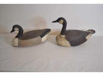 Nice Decoy Ducks