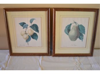 PJ Redoute -Set Of Two Prints