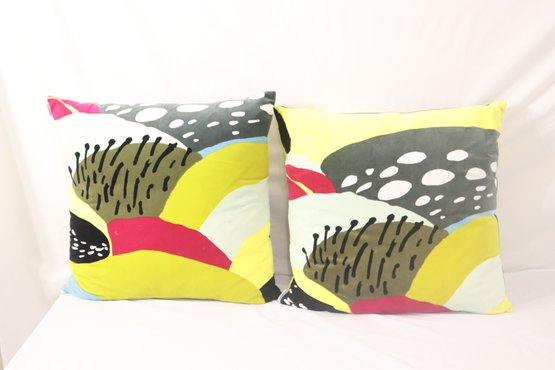 Pair Of Cool Abstract Throw Pillows (L-62)