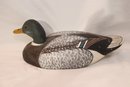 Duck Decoy Mallard Drake Duck (V-16)