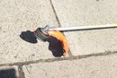 Stihl FS 70RC Commercial Straight Shaft Trimmer Weed Wacker