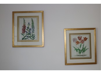 Pair Of Framed Floral Prints From Ethan Allen