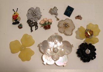 Assorted Pins Brooches And Magnetic