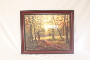 Path In The Woods Framed  (B-98)