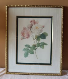 Framed 'Rosa Damascena' By Pierre Redoute (F-92)