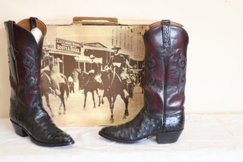 Womens 7 B Lucchese Brown Tall FULL QUILL OSTRICH Cowboy Boots (O-13)