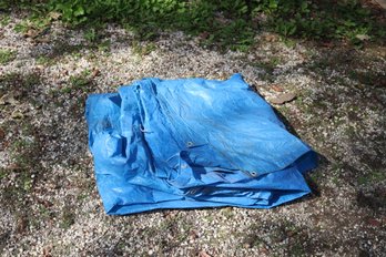 Blue Tarp