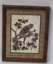 Framed Monkey Picture