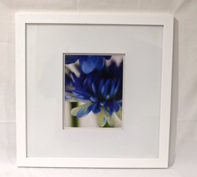 Framed Blue Flower Picture 20' X 21'