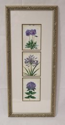 Framed 3 Purple Flowers (M-67)