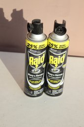 2 Cans Raid Wasp & Hornet Spray (G-10)