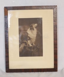 1923 Dog Photograph Framed (V-18)