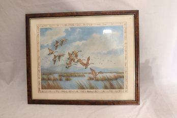 Vintage Framed Canadian Geese In Flight By Charles Murphy (V-46)