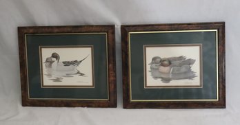 Framed Duck Waterfowl Pictures By Richard Sloan