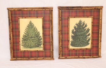 Vintage Framed Pine Tree Pictures (R-16)
