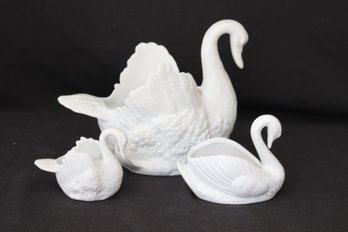 A Bevy Of Swans (R-70)