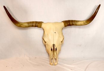Vintage Steer Skull Bull Horns (F-82)