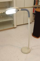 Goose Neck Natural Light Floor Lamp (F-45)