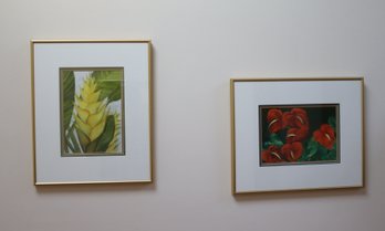 Framed Hawaii Tropical Flowers (L-23)