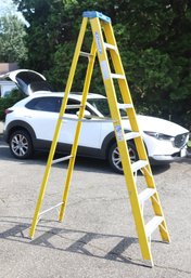 Werner 8' Fiberglass Ladder