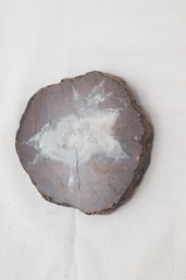 Stone Slice (A-11)