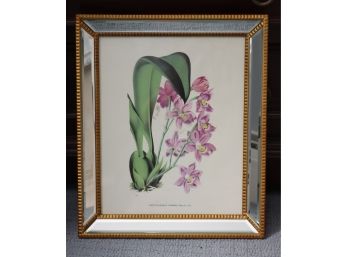 MIRROR & Gold Framed Two's Company Floral Botanical Print ODONTOGLOSSUM KRAMERI