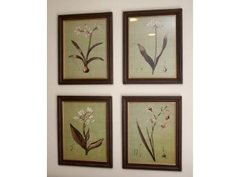 Set Of 4 Floral Framed Pictures 21' X 17'