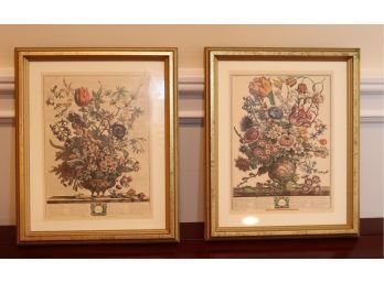 Pair Of Framed Floral Prints