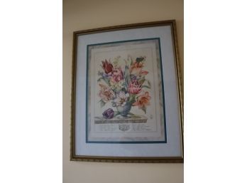 Framed Yuriko Takata Tulip Encyclopedic Print