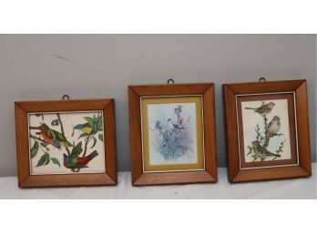 Lot Of 3 Framed Bird Pictures   (BL-1)