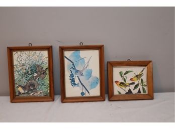 Lot Of 3 Framed Bird Pictures   (BL-2)