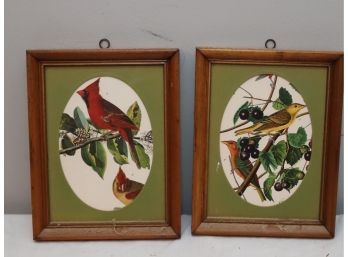 Pair Of Framed Bird Pictures (BL-3)