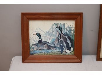 Framed Duck Picture