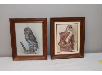 Vintage Framed Owl Pictures