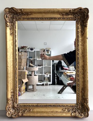 Ornate Molded Frame Mirror