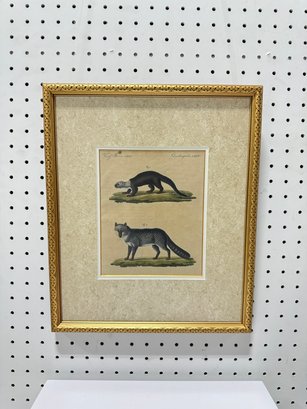 Framed Vintage Hand-colored 'south American Animals' Print