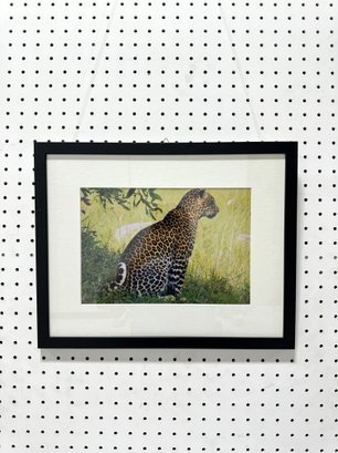 Framed Photo Of Leopard