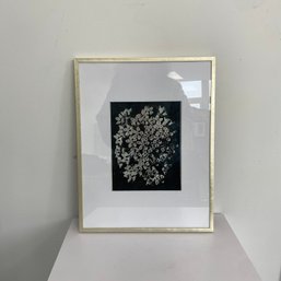 Framed Black & White Flowers In Gold Frame