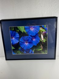 8x10 Petunias Framed Photo By Barbara Reynolds